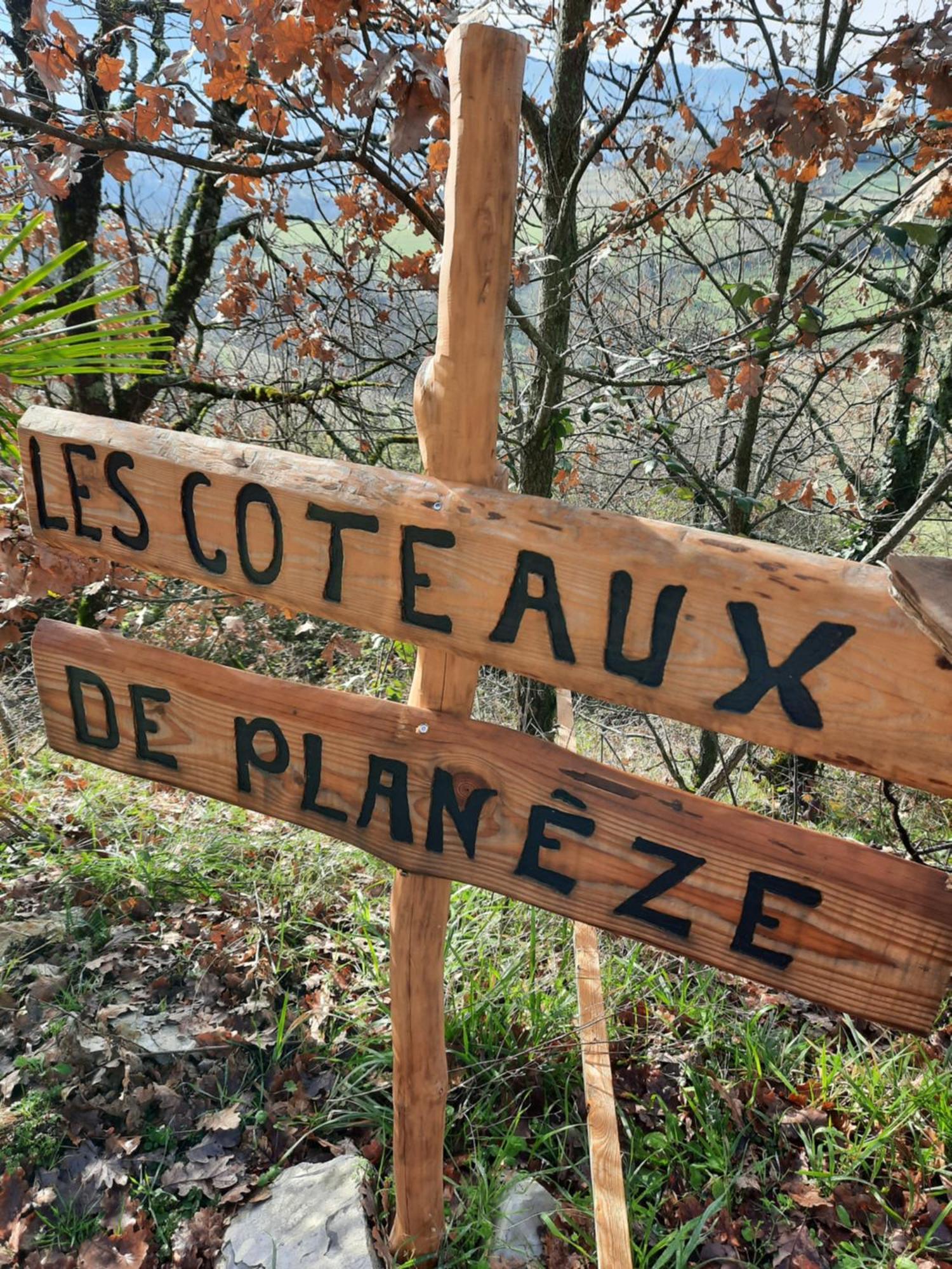 Les Coteaux De Planeze, Chambre Pour 2, 3 Ou Famille Nombreuse 2 Adultes 5 Enfants Et Jeunes Belmont-Bretenoux Екстериор снимка